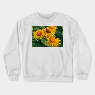 Inula Sunflowers macro Crewneck Sweatshirt